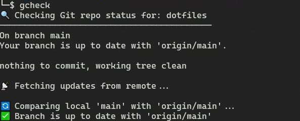 output of the gcheck function showing a clean, synced repo