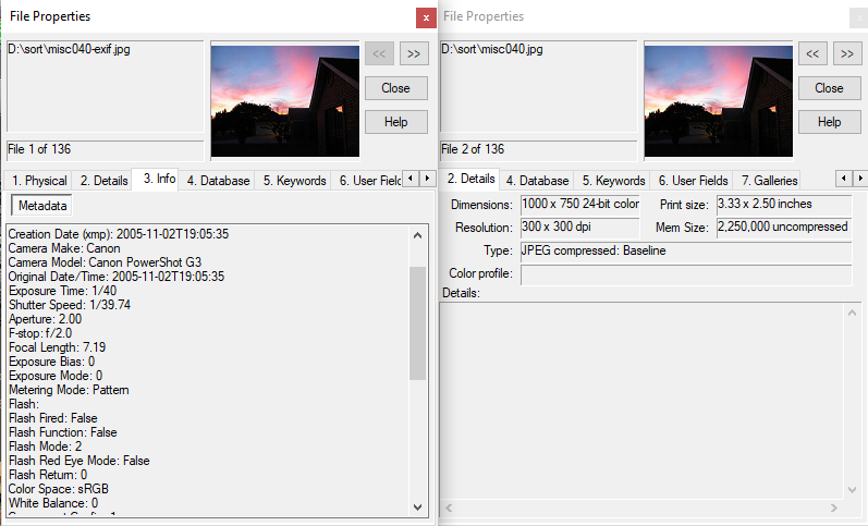 ThumbsPlus side by side metadata view