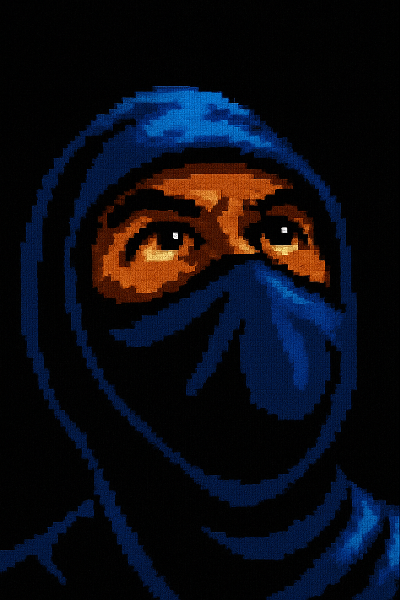 ninja test